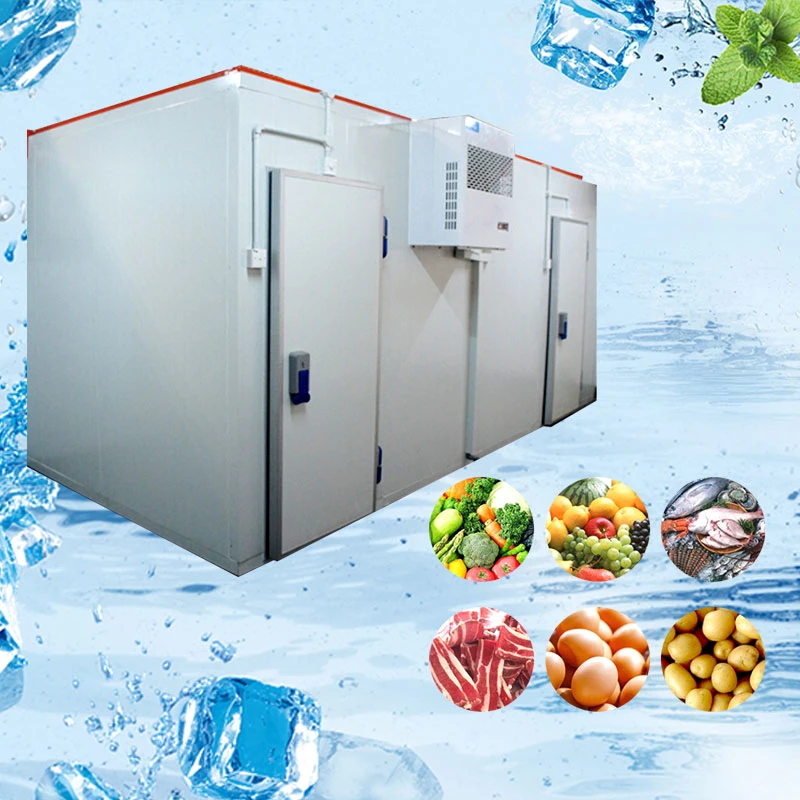 Commercial Ice Cream Storage Cold Room with Color Steel Painting